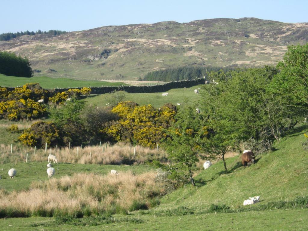 Barcloy Honey House Villa Kirkcudbright Exterior photo